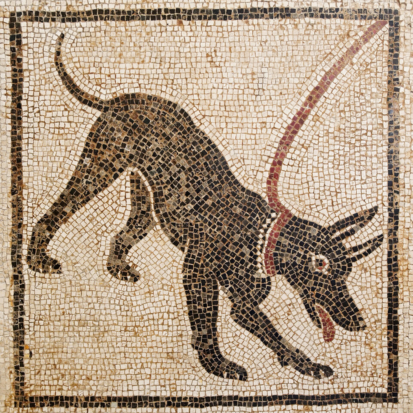 Pes na řetězu (Cave canem)
