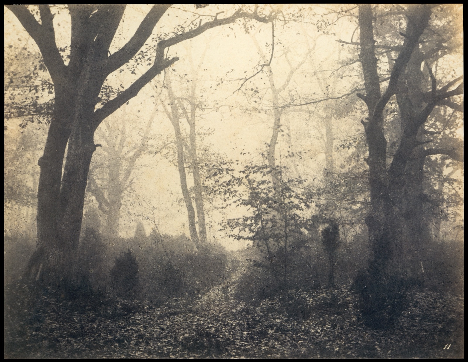 [Les u Fontainebleau], Eugène Cuvelier