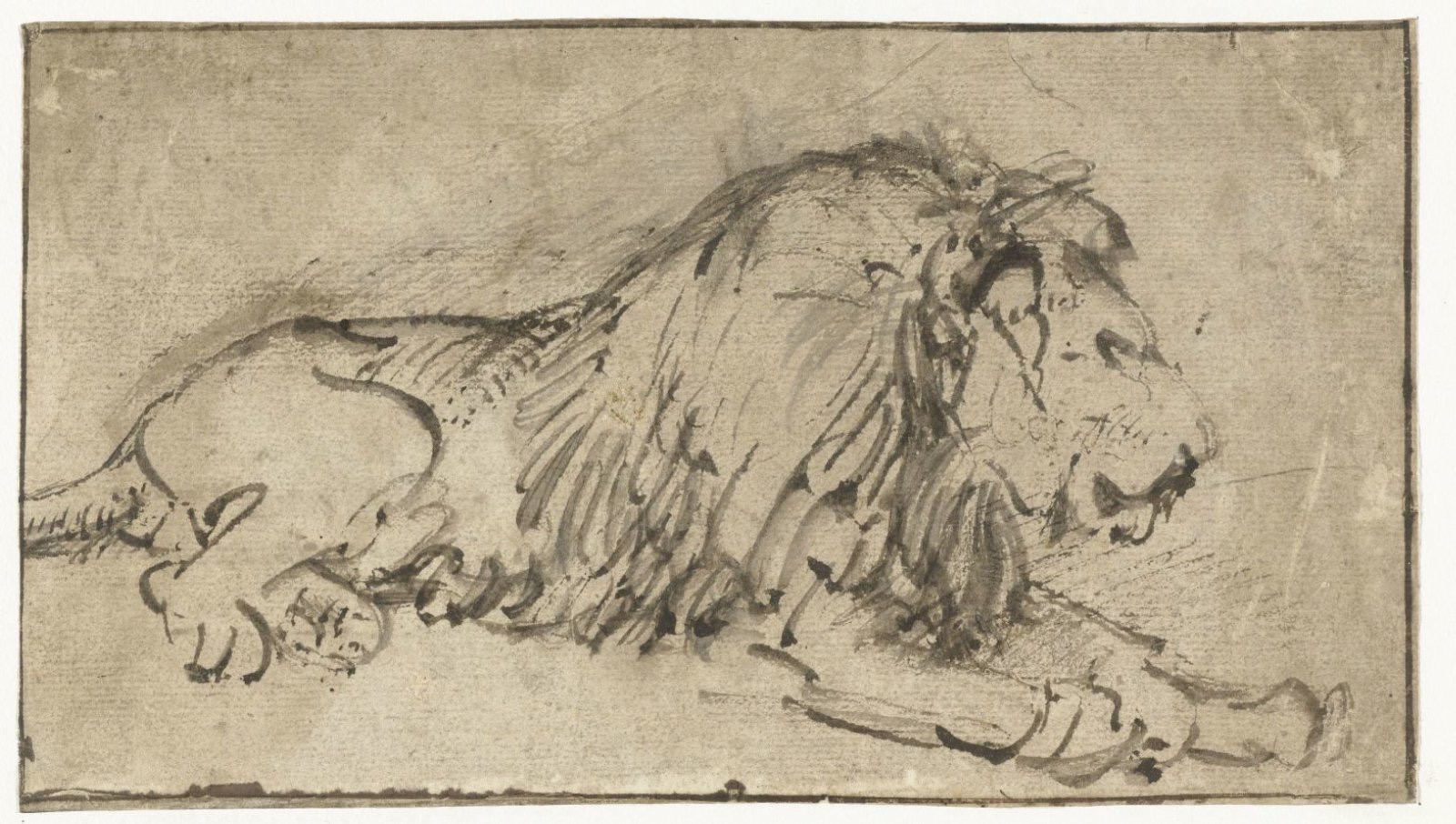 Ležící lev, Rembrandt van Rijn