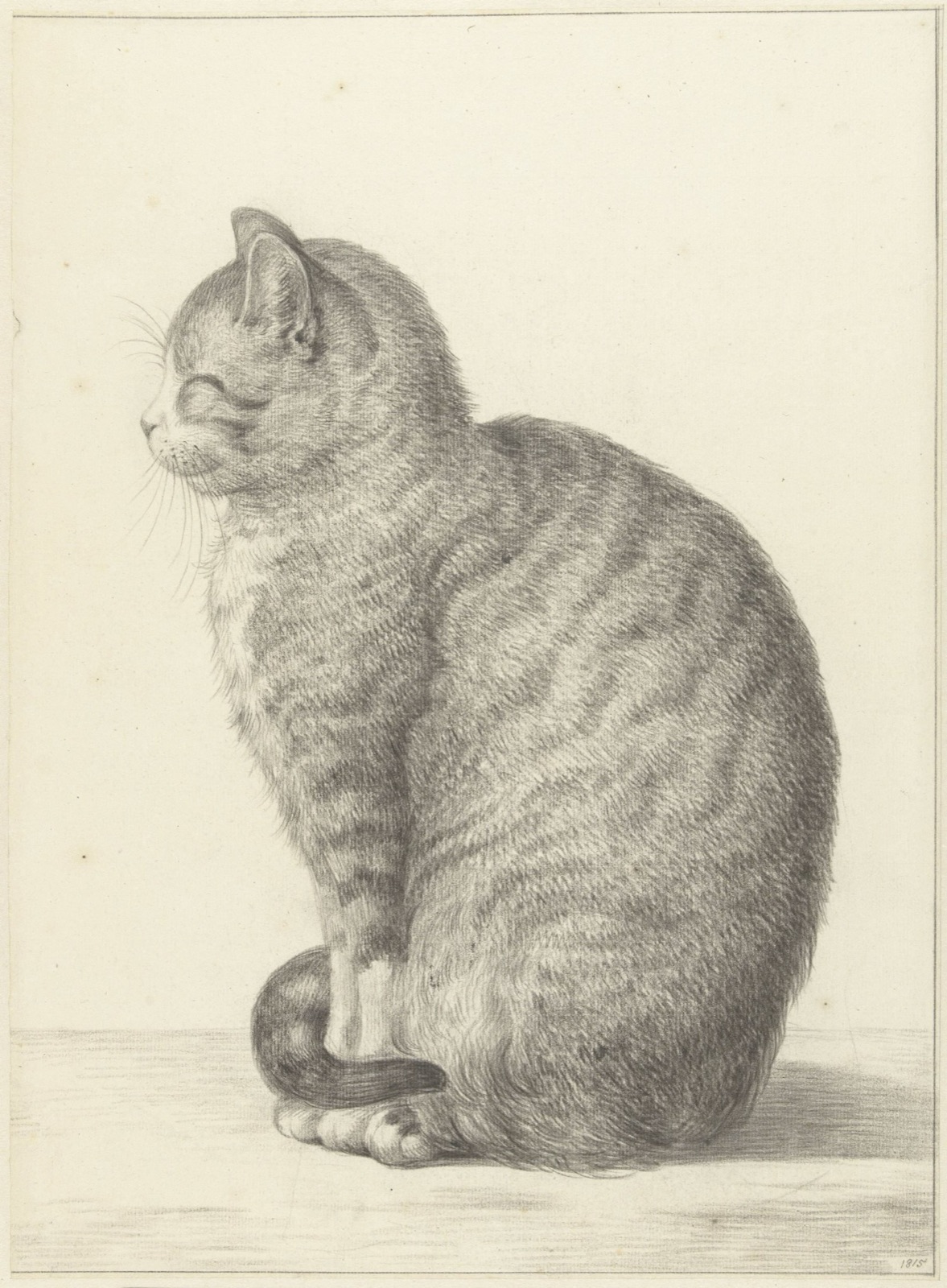 Zittende kat, naar links, Jean Bernard