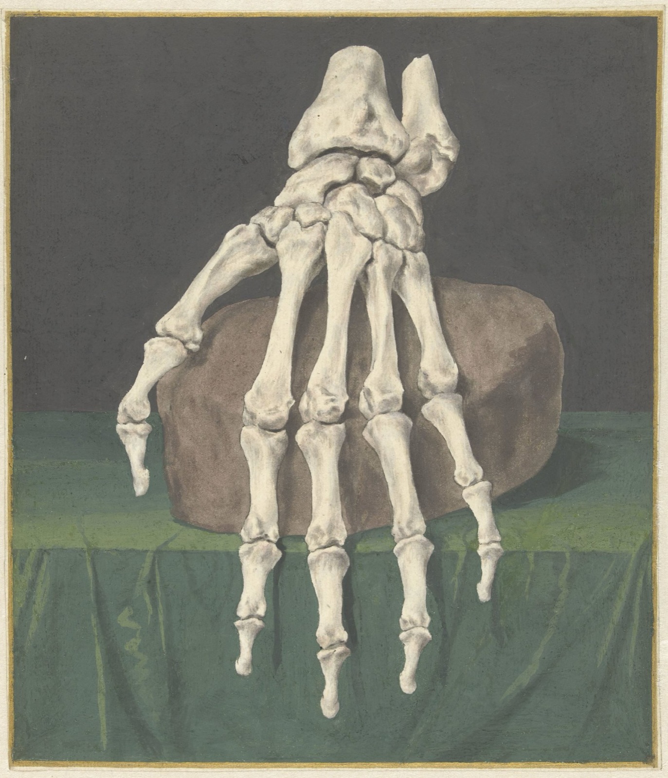 Skelet van een hand, Jan l’Admiral