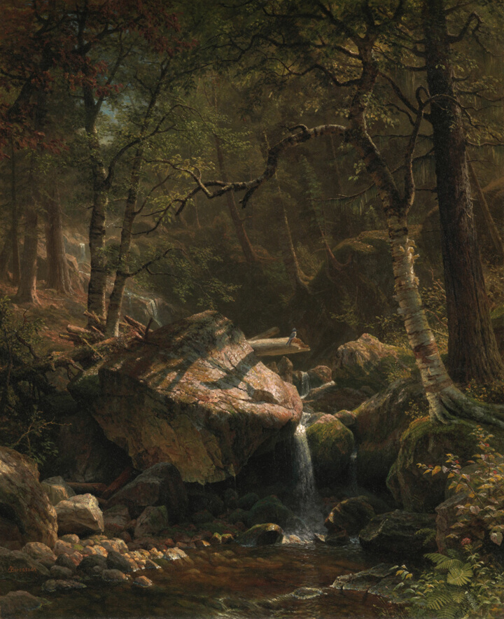 Horský potok, Albert Bierstadt