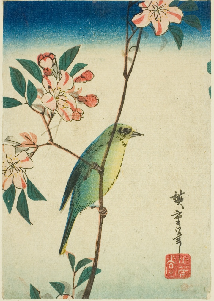 Kruhoočko japonské na kvetoucí větvi, Utagawa Hirošige