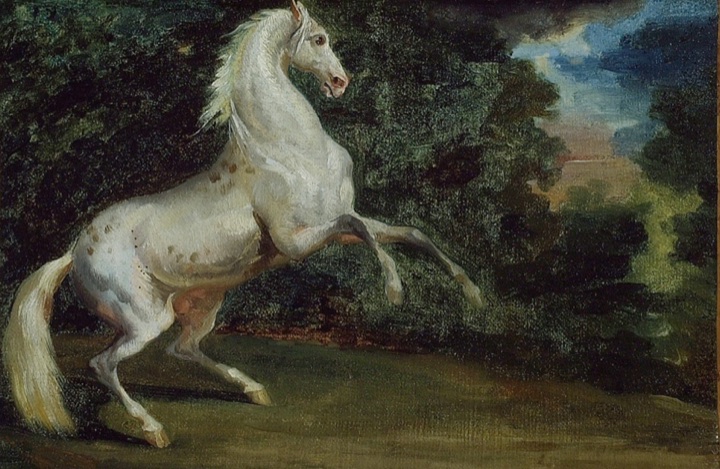 Vzpínající se kůň, Follower of Jean Louis André Théodore Géricault