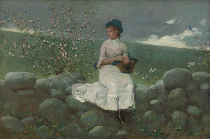 Broskvové květy, Winslow Homer