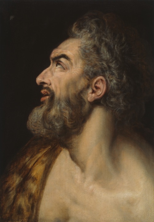 Studie hlavy vousatého muže, Frans Floris, I