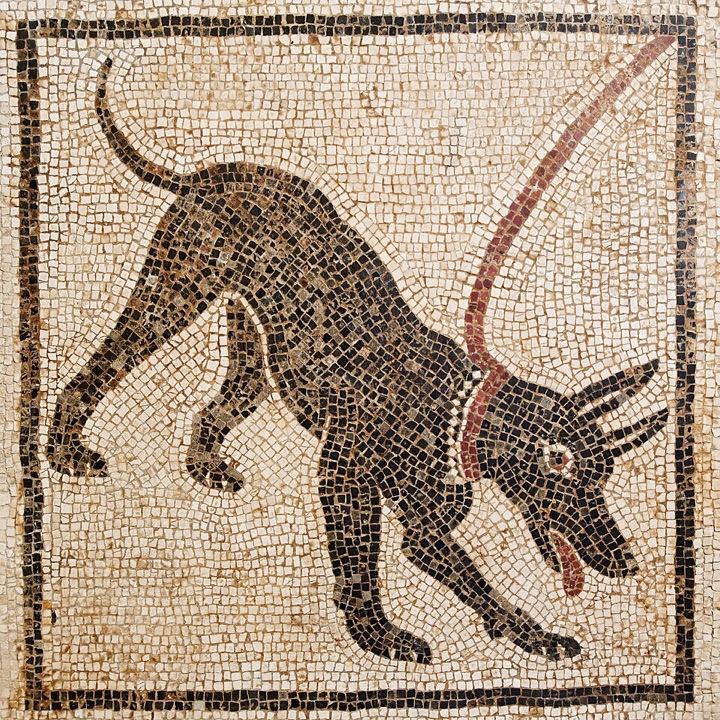 Pes na řetězu (Cave canem), Neznámý římský mozaikář