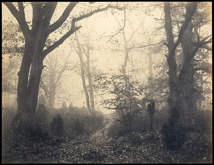 [Les u Fontainebleau], Eugène Cuvelier
