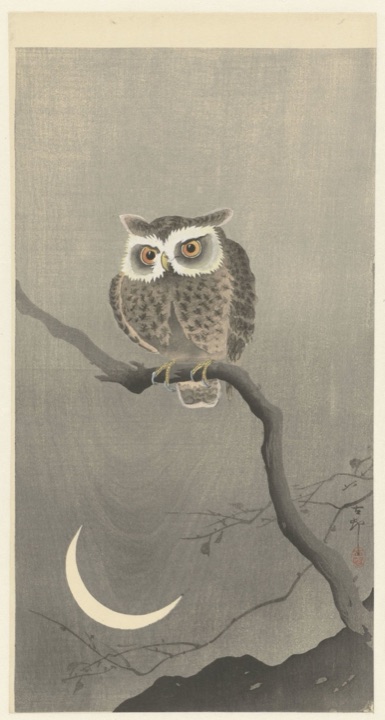Ransuil op kale boomtak, Ohara Koson