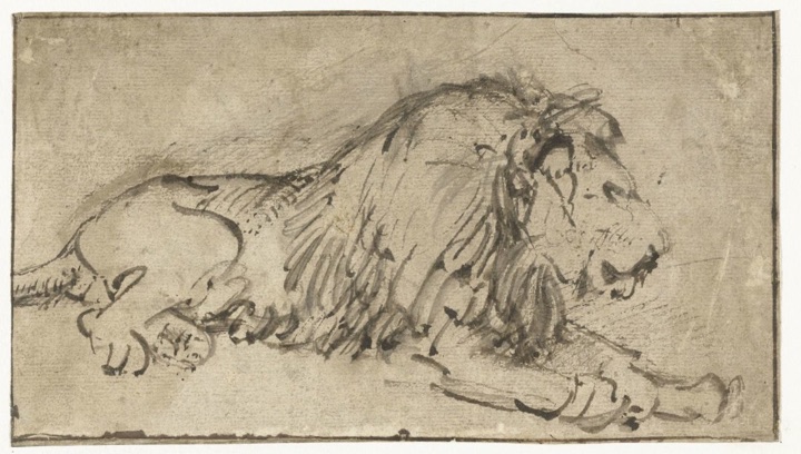 Ležící lev, Rembrandt van Rijn