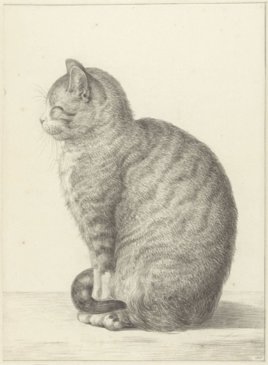 Zittende kat, naar links, Jean Bernard
